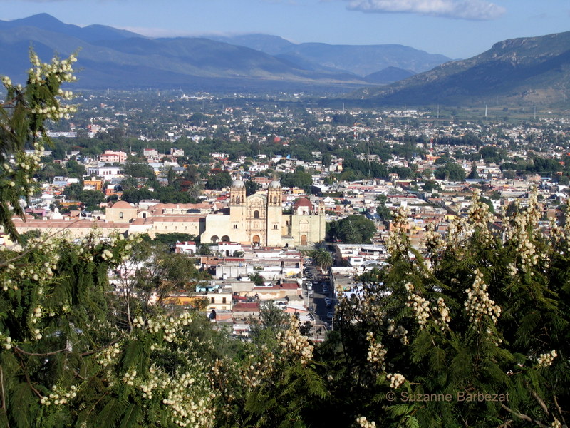 Oaxaca City View
